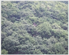  2025Ÿ10389 泲 â籺 ϸ  143-6      (Ӿ)