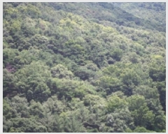  2025Ÿ10389 泲 â籺 ϸ  143-6      (Ӿ)