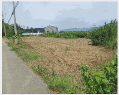  2025Ÿ10401 泲 о 󳲸 긮 314-3      (1)