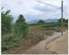  2025Ÿ10401 泲 о 󳲸 긮 314-3      (1)