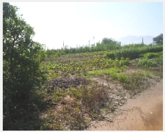  2025Ÿ10401 泲 о 󳲸 긮 314-3      (1)