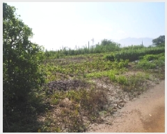  2025Ÿ10401 泲 о 󳲸 긮 314-3      (1)