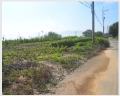  2025Ÿ10401 泲 о 󳲸 긮 314-3      (1)