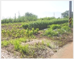  2025Ÿ10401 泲 о 󳲸 긮 314-3      (1)