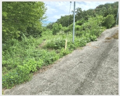  2025Ÿ��10404 �泲 �о�� �󵿸� ��ȭ�� 698      ����(��1)���