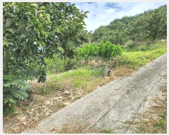  2025Ÿ��10404 �泲 �о�� �󵿸� ��ȭ�� 698      ����(��1)���