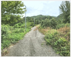  2025Ÿ��10404 �泲 �о�� �󵿸� ��ȭ�� 698      ����(��1)���