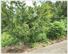  2025Ÿ��10404 �泲 �о�� �󵿸� ��ȭ�� 698      ����(��1)���