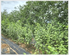  2025Ÿ��10404 �泲 �о�� �󵿸� ��ȭ�� 698      ����(��1)���