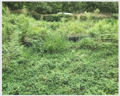  2025Ÿ��10404 �泲 �о�� �󵿸� ��ȭ�� 698      ����(��1)���