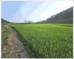  2025Ÿ��10407  ����