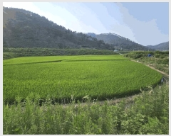  2025Ÿ��10407  ����