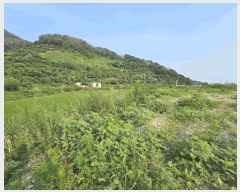  2025Ÿ��10407  ����