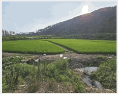  2025Ÿ��10407  ����