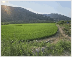  2025Ÿ��10407  ����