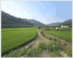  2025Ÿ��10407  ����