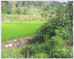  2025Ÿ��10407  ����