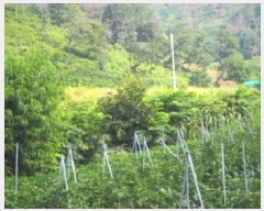  2025Ÿ��10407  ����