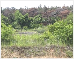  2025Ÿ��10412 �泲 â�籺 ���ո� �Ŵ縮 615-1      ����(��1)���