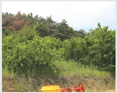  2025Ÿ��10412 �泲 â�籺 ���ո� �Ŵ縮 615-1      ����(��1)���