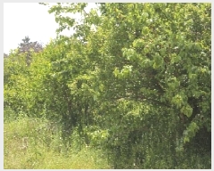  2025Ÿ��10412 �泲 â�籺 ���ո� �Ŵ縮 615-1      ����(��1)���