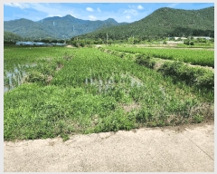  2025Ÿ��10416  ����