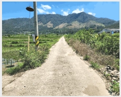  2025Ÿ��10416  ����