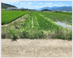  2025Ÿ��10416  ����