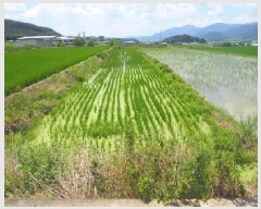  2025Ÿ��10416  ����