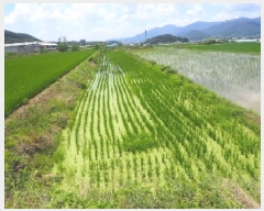  2025Ÿ��10416  ����