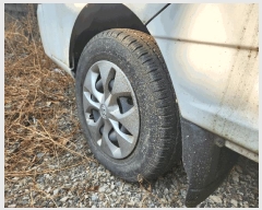  2025Ÿ��10419  �������