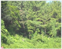  2025Ÿ��10463  �Ӿ߰��