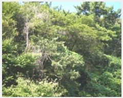  2025Ÿ��10463  �Ӿ߰��