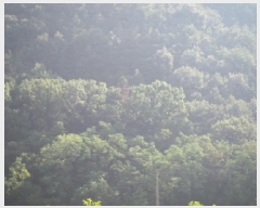  2025Ÿ��10463  �Ӿ߰��