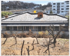  2025Ÿ��10468  �ٸ����ð��