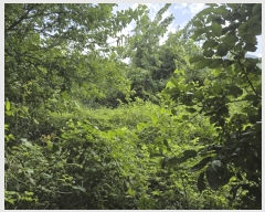  2025Ÿ��10495 �泲 â�籺 ����� ���� 64      ����(��1)���