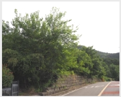  2025Ÿ��10495 �泲 â�籺 ����� ���� 64      ����(��1)���