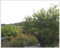  2025Ÿ��10495 �泲 â�籺 ����� ���� 64      ����(��1)���