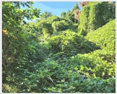  2025Ÿ��10496  �Ӿ߰��