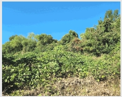  2025Ÿ��10496  �Ӿ߰��