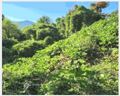  2025Ÿ��10496  �Ӿ߰��