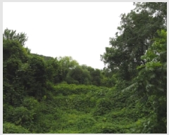  2025Ÿ��10496  �Ӿ߰��