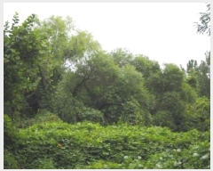  2025Ÿ��10496  �Ӿ߰��