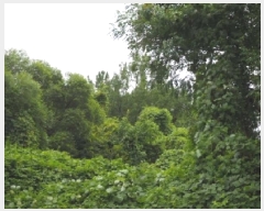  2025Ÿ��10496  �Ӿ߰��