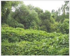  2025Ÿ��10496  �Ӿ߰��