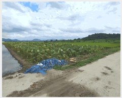  2025Ÿ��10504 �泲 â�籺 ������ ������ 990-8      ����(��)���