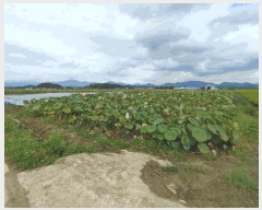  2025Ÿ��10504 �泲 â�籺 ������ ������ 990-8      ����(��)���