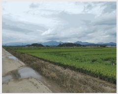  2025Ÿ��10504 �泲 â�籺 ������ ������ 990-8      ����(��)���