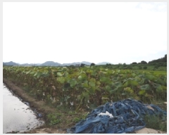  2025Ÿ��10504 �泲 â�籺 ������ ������ 990-8      ����(��)���