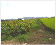  2025Ÿ��10504 �泲 â�籺 ������ ������ 990-8      ����(��)���